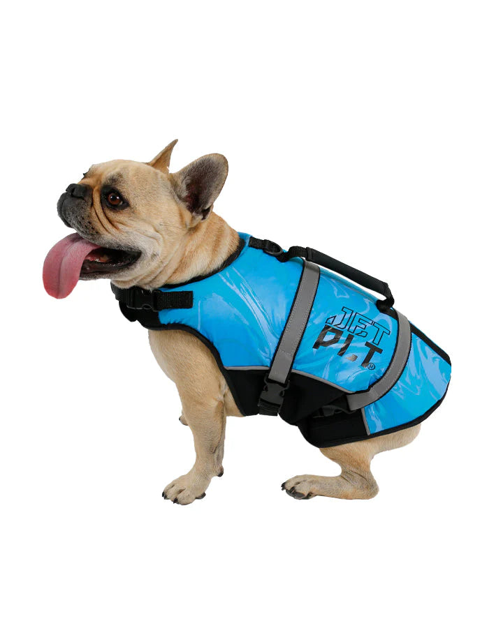 Dog Pfd