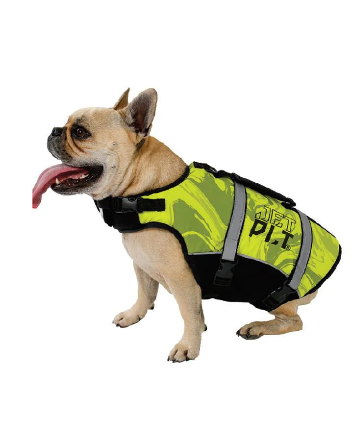 Dog Pfd