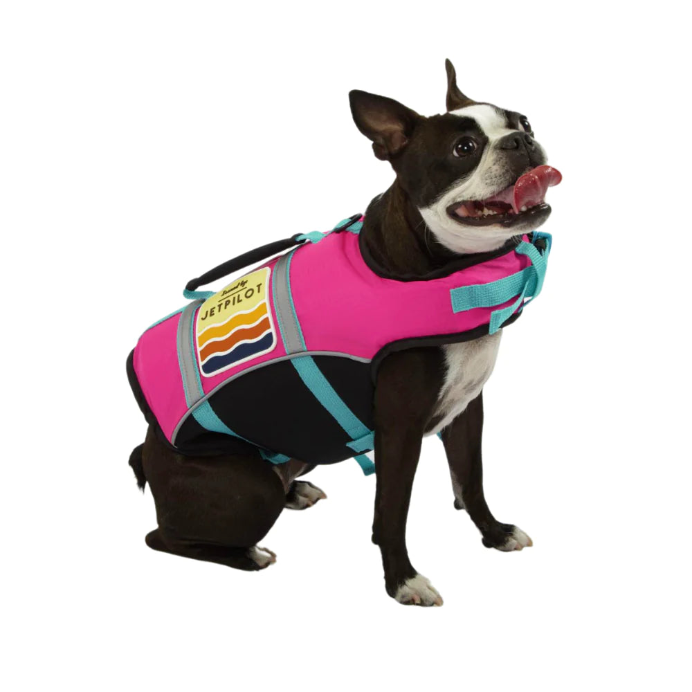 Dog Pfd