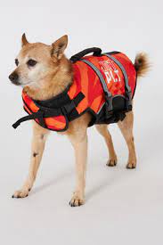 Dog Pfd